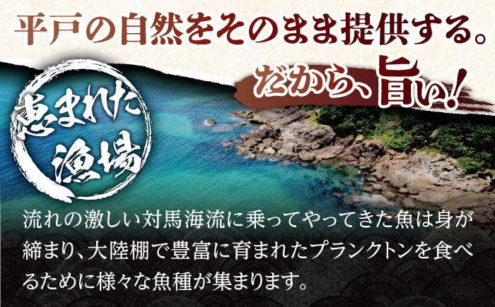 【3回定期便】旬鮮平戸干物種詰合せ【株式会社　森崎水産】[KAD104]/ 長崎 平戸 魚介類 魚 干物 乾物 開き 鯛干物 たい干物 さば干物 スルメ干物 イカ干物 あじ干物 アジ干物 いわし干物 あご干物 アゴ干物 飛魚干物 トビウオ干物 かます干物 いとより干物 定期便