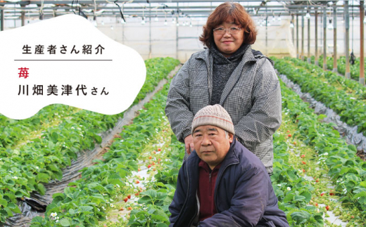 HiradoFruit＆Vegetablesjelly3種セット【株式会社平戸ファーム】[KAB099]