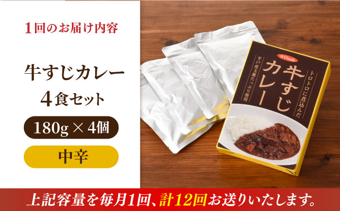 【全12回定期便】【着日指定 可能】【とろっとろになるまで煮込んだ】牛すじカレー 4食セット（中辛） 平戸市 / カレー工房 NVfoods [KAB266]