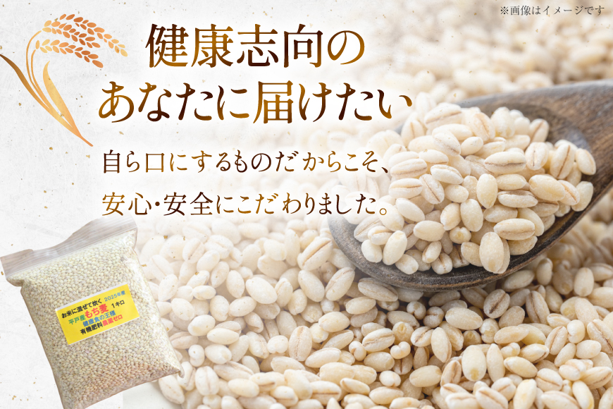 【簡単！米に混ぜて炊くだけ！】もち麦 1kg [エコファーム永田 長崎県 平戸市 hr42bgy400000] 令和7年産 キラリモチ もち麦ご飯 1キロ 腸活 食物繊維