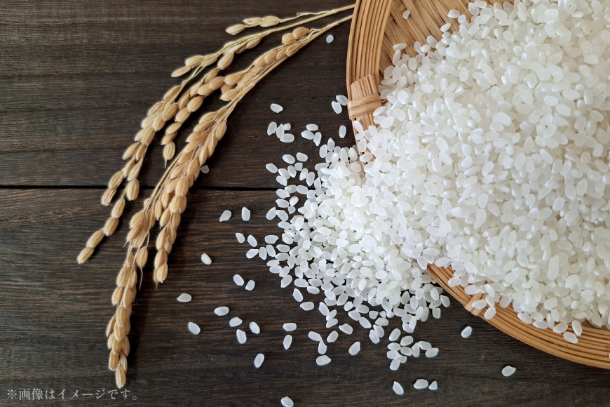 日本酒 純米酒 Firando 〜 フィランド 〜 1L 500ml×2本 [森酒造場 長崎県 平戸市 hr42bgy410174] 酒 さけ フルーティー おつまみ