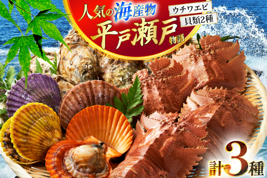 ウチワエビ えび サザエ ヒオウギ貝 平戸 海鮮 3種 盛り合わせ [平戸さくら水産 長崎県 平戸市 hr42bgy420174] 魚介 えび 貝 さざえ 海鮮