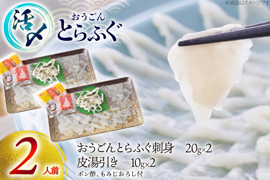 ふぐ 刺身 セット 活〆 おうごんとらふぐ 刺身セット 2人前 [松永水産 長崎県 平戸市 hr42bgy400175] ふぐ刺し とらふぐ フグ 河豚 てっさ 魚介 さかな お刺身 刺身用 さしみ 冷凍 湯引き 海鮮 切り身