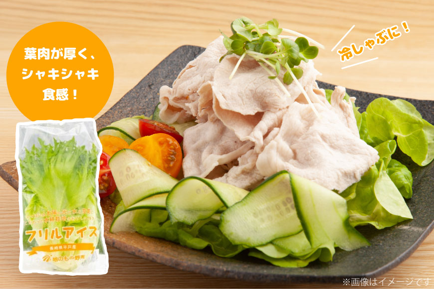 レタス 水耕栽培 4種 12袋 セット 6回 定期便 総計72袋 食べ比べ 詰め合わせ [モロフジファーム 長崎県 平戸市 hr42bgy420230] サラダ 産地直送 個包装 小分け 野菜 フレッシュ 健康志向 緑黄色野菜