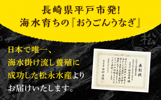 【3回定期便】おうごん うなぎ 300g【（有）松永水産】[KAB138]/ 長崎 平戸 魚介類 魚 うなぎ 鰻 ウナギ 蒲焼 かばやき 定期便