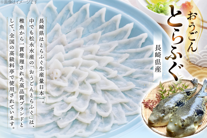 ふぐ 刺身 おうごんとらふぐ 大皿 刺身 80g×2 合計 160g [松永水産 長崎県 平戸市 hr42bgy400080] ふぐ刺し とらふぐ フグ 河豚 てっさ 魚介 さかな お刺身 刺身用 さしみ 冷凍 海鮮 高級魚