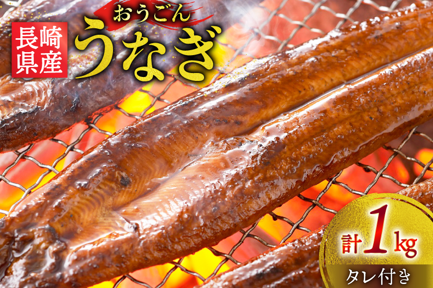 うなぎ 国産 蒲焼 長崎県産 おうごんうなぎ 松 セット 約1kg 4尾〜8尾 [松永水産 長崎県 平戸市 hr42bgy400223] 鰻 うな重 うな丼 ひつまぶし 蒲焼き かばやき タレ付き 養殖 国内産 冷凍 unagi