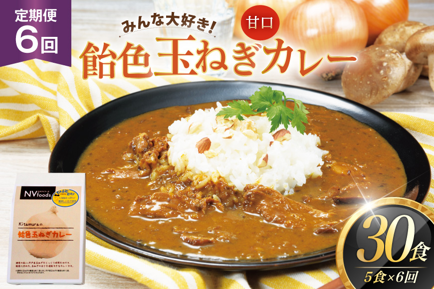 カレー セット 玉ねぎ カレー 5食 セット 甘口 6回 定期便 [カレー工房NVfoods 長崎県 平戸市 hr42bgy400065] カレー スパイス レトルト セット