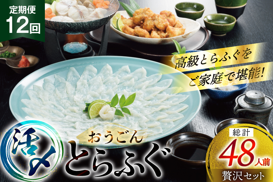 ふぐ 刺身 ふぐ鍋セット 活〆 おうごんとらふぐ 贅沢 セット 4人前 12回 定期便 [松永水産 長崎県 平戸市 hr42bgy400017] ふぐ刺し とらふぐ フグ 河豚 てっさ てっちり ふぐ鍋 湯引き 魚介 さかな お刺身 刺身用 さしみ 冷凍 海鮮