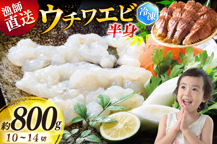 うちわえび エビ 海老 海鮮 冷凍 小分け ウチワエビ半身 約800g 10〜14切 [ひばり 長崎県 平戸市 hr42bgy420048] 魚介 海産物 鍋 刺身 刺し身 新鮮 国産 お取り寄せ