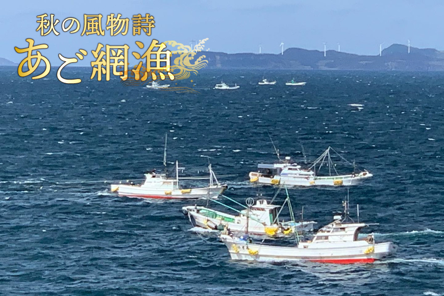 もつ鍋 セット 生月 あごだし 国産牛 もつ 鍋 セット 6〜8人前 [Vive la Vie!(ビブラビ) 長崎県 平戸市 hr42bgy420228] あご出汁 アゴ 飛び魚 トビウオ 簡単調理 冷凍 あごだしもつ鍋 鍋セット 牛もつ ホルモン