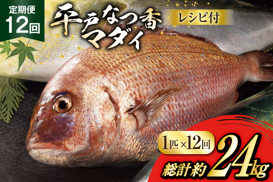 タイ 刺身 平戸なつ香 鯛 丸々 1匹 約2kg 12回 定期便 総計 約24kg [（株）坂野水産 長崎県 平戸市 hr42bgy420457] 魚介 さかな 刺身用 さしみ 冷蔵 おかず フルーツ魚  夏香 鮮魚 海鮮 鍋 海鮮丼 切り身 鍋 tai