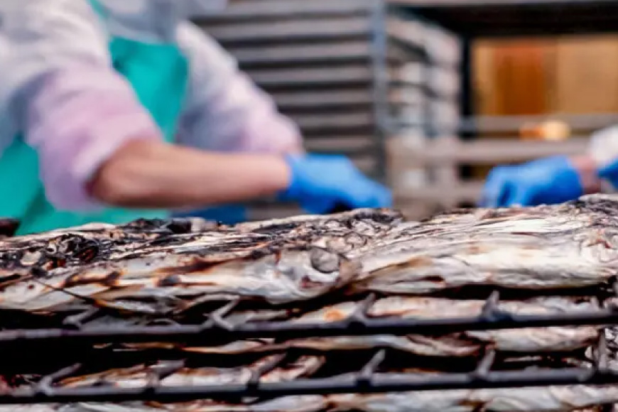 だし あご 飛魚 飛魚だし 希釈用 3.0L（500ml×6本） 3回 定期便 総計9.0L  [海産物のわたなべ 長崎県 平戸市 hr42bgy390034] 出汁 めんつゆ つゆ あごだし 希釈つゆ 焼あご 昆布