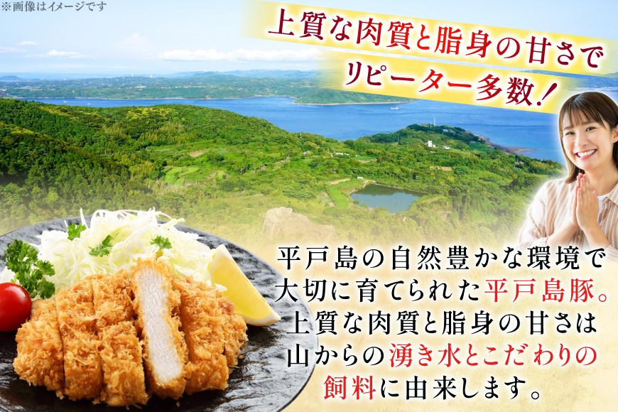 とんかつ 豚肉 平戸島豚 トンカツ 用 ヒレ ・ ロース 約1kg [前川精肉店 長崎県 平戸市 hr42bgy420050] トンカツ 豚 揚げ物 冷蔵