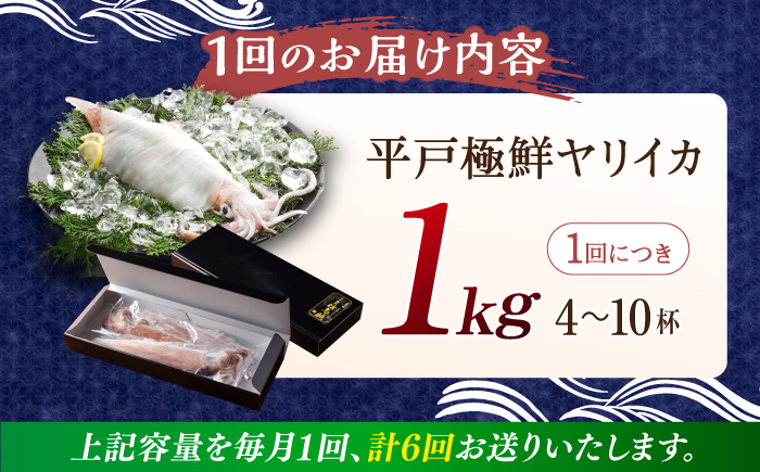 【全6回定期便】【着日指定 可能】【美味しさそのまま瞬間冷凍】平戸極鮮ヤリイカ 約1kg 平戸市 / 海隆丸 [KAB268]