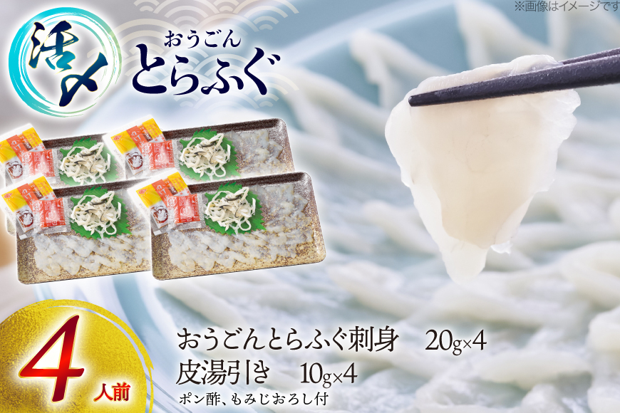 ふぐ 刺身 セット 活〆 おうごんとらふぐ 刺身セット 4人前 [松永水産 長崎県 平戸市 hr42bgy400157] ふぐ刺し とらふぐ フグ 河豚 てっさ 魚介 さかな お刺身 刺身用 さしみ 冷凍 湯引き 海鮮 切り身