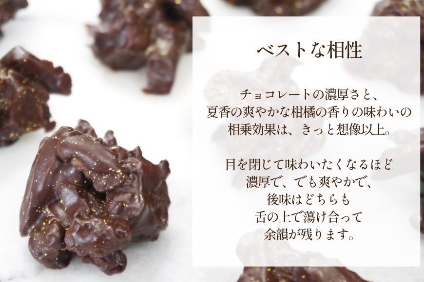 チョコ オランジェット サマー オレンジ 5粒入り 2箱 セット 12回 定期便 総計 24箱 [心優-Cotoyu Sweets- 長崎県 平戸市 hr42bjo490180] チョコレート ショコラ ピール 柑橘 スイーツ