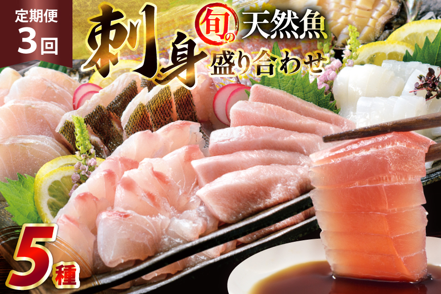 刺身 盛り合わせ 旬の天然魚の刺身盛り 5種 2〜3人前 3回 定期便 総計6〜9人前 セット 食べ比べ 詰め合わせ [囲炉裏料理エビス亭 長崎県 平戸市 hr42bgy390045] さしみ 厳選 マダイ 真鯛 本マグロ 天然 まぐろ 鮪 冷凍 寿司 すし