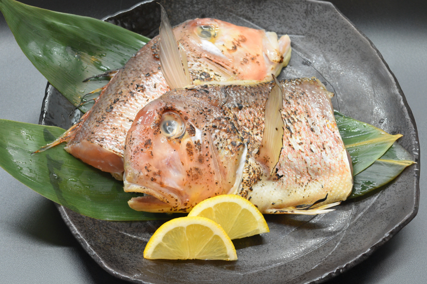 魚 まぐろ ひらめ えび イカ 平戸逸品 四季の彩り海物語 6回 定期便 [平戸さくら水産 長崎県 平戸市 hr42bgy420405] 赤身 大トロ 中トロ みそ ウチワエビ いか 干物 漬け