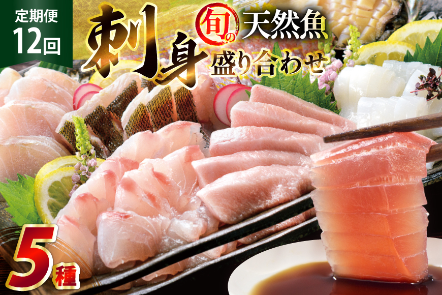 刺身 盛り合わせ 旬の天然魚の刺身盛り 5種 2〜3人前 12回 定期便 総計24〜36人前 食べ比べ セット [囲炉裏料理エビス亭 長崎県 平戸市 hr42bgy390053] さしみ 厳選 マダイ 真鯛 本マグロ 天然 まぐろ 鮪 冷凍 寿司 すし