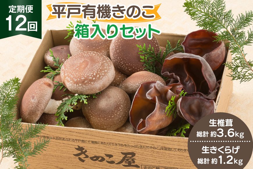 きのこ しいたけ きくらげ 生椎茸 生きくらげ 箱入りセット 12回 定期便 [きのこ屋 長崎県 平戸市 hr42bgy410166] 有機 有機JAS 有機栽培 有機きのこ 有機しいたけ 箱入り ギフト セット