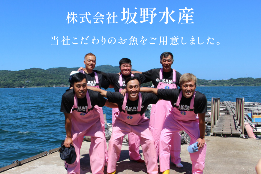 刺身 ヒラマサ 平戸なつ香 ヒラス 丸々 1匹 約4kg 3枚おろし アラ付き セット [坂野水産 長崎県 平戸市 hr42bgy420502] 魚介 さかな お刺身 刺身用 さしみ 冷蔵 下処理済 レシピ付き おかず フルーツ魚 夏香 鮮魚 海鮮 鍋 海鮮丼 生食 生食用