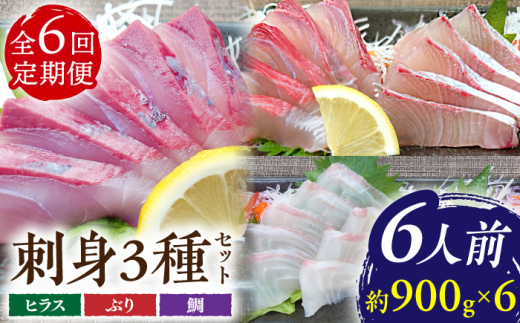 【6回定期便】鮮魚 6人前 詰め合わせ 900g【百旬館】[KAK039]/ 長崎 平戸 魚介類 魚 刺身 ブロック ヒラス ひらす ブリ ぶり 鯛 タイ たい 急速冷凍 真空 パック定期便