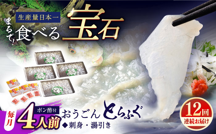 【全12回定期便】【着日指定 可能】活〆おうごんとらふぐ 刺身 セット（4人前） 平戸市 / 松永水産 [KAB281]