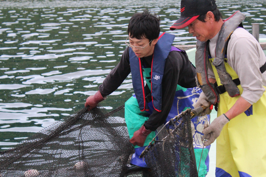 漬け丼 海鮮丼 漬け魚 海鮮 おまかせ 4点 セット 80g 4袋 [ひらど新鮮市場 長崎県 平戸市 hr42bgy400231] 漬け 魚 魚の漬け 冷凍 漬魚 旬の鮮魚 醤油漬け 漬丼 お手軽 小分け 一人暮らし 時短 簡単 流水解凍 便利 個包装 お茶漬け 魚介 詰め合わせ 食べ比べ