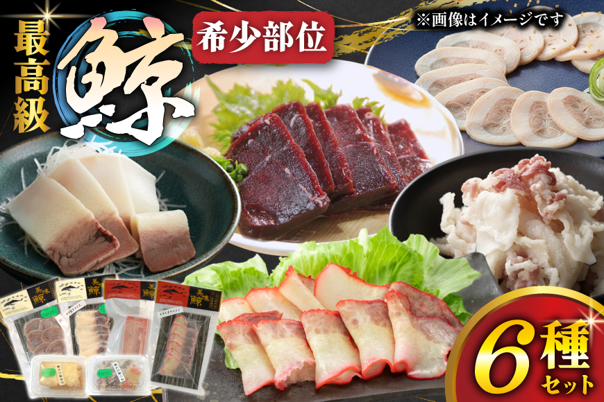 鯨肉 最高級鯨6種 食べ比べセット [平戸口吉善商店 長崎県 平戸市 hr42bgy390077] 刺身 刺し身 お刺身 クジラ くじら クジラ肉 鯨刺身 赤身 スライス 湯引き 珍味