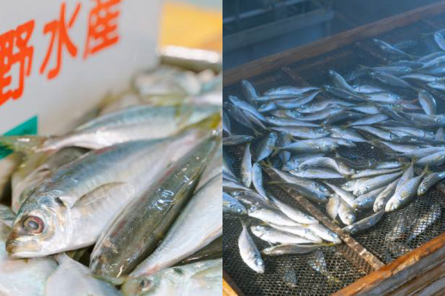 魚 干物 ごはんのお供 みりん干し ふりかけ 佃煮 セット [末弘丸 長崎県 平戸市 hr42bgy420279] サバ アジ イワシ イリコ アゴ みりん干し ふりかけ 佃煮 無添加 ギフト