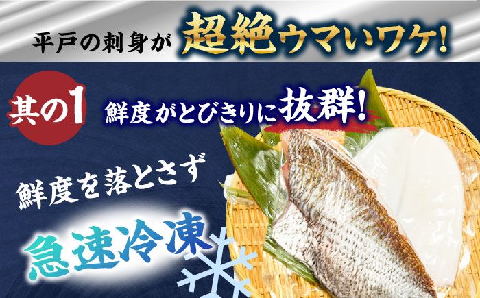 【6回定期便】【漁協直送！】獲れたて旬魚の柵2種セット（刺身1種&イカ1種）（2〜3人前）【舘浦漁業協同組合】 [KAA635]