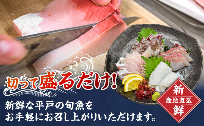 【全6回定期便】  獲れたて 旬魚 の柵 3種 セット（ 刺身 2種＆ イカ 1種）（4〜5人前）【平戸市/舘浦漁業協同組合】 [KAA519]