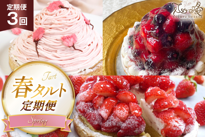 いちご ケーキ 春 タルト 3種 1ホール 14cm 3回 定期便 総計3ホール [心優-Cotoyu Sweets- 長崎県 平戸市 hr42bgy420476] 苺 イチゴ さくら 桜 ケーキ スイーツ ベリー ご褒美 誕生日