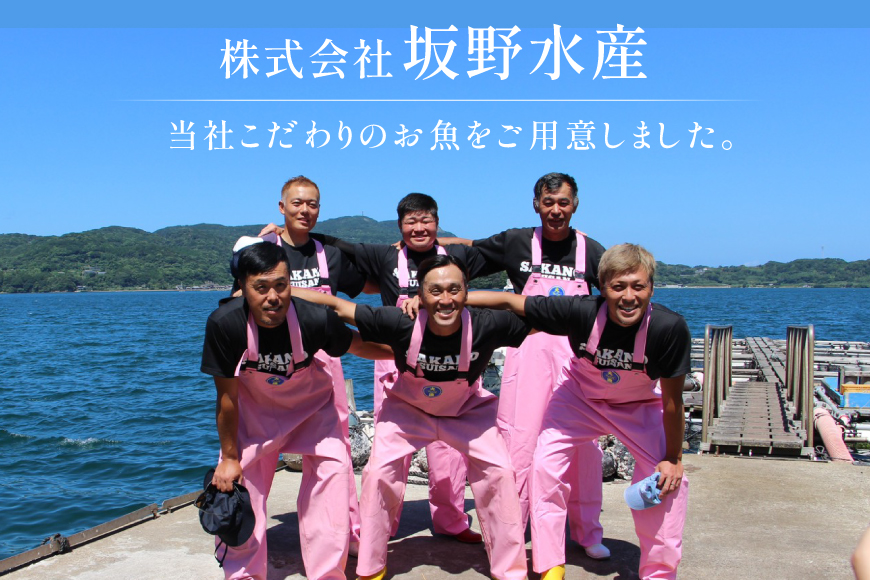 タイ 刺身 平戸なつ香 鯛 丸々 1匹 約2kg 3枚おろし アラ付き セット [坂野水産 長崎県 平戸市 hr42bgy420504] 魚介 さかな 刺身用 さしみ 冷蔵 おかず フルーツ魚 夏香 鮮魚 海鮮 海鮮鍋 海鮮丼 下処理済 レシピ付き 鍋 tai 煮付け あら炊き