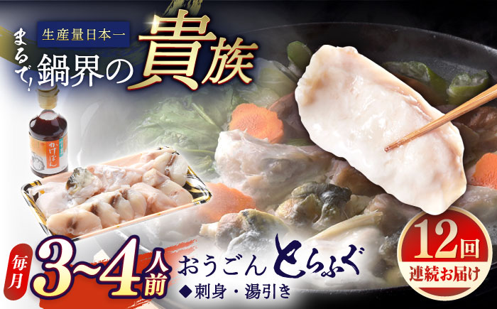 【全12回定期便】【着日指定 可能】活〆おうごんとらふぐ 鍋 セット 約400g 平戸市 / 松永水産 [KAB272]