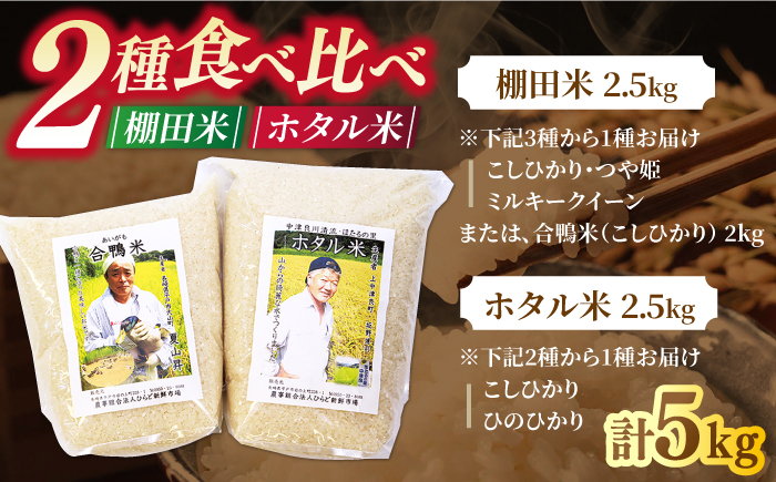 こだわりの米食べ比べセット約5kg2.5kg×2種【株式会社ひらど新鮮市場】[KAB022]/ 長崎 平戸 米 精米 ひのひかり こしひかり ミルキークイーン つや姫 ホタル米 棚田米 合鴨米