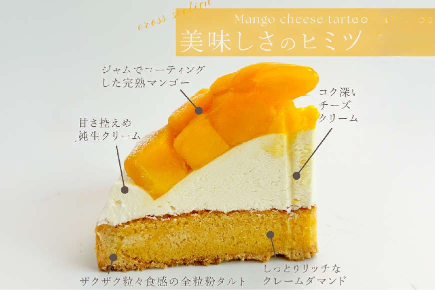 完熟 マンゴー チーズ タルト 1ホール 12cm [心優-Cotoyu Sweets- 長崎県 平戸市 hr42bjo490191] トロピカル 果物 ケーキ たっぷり チーズケーキ スイーツ ご褒美 誕生日