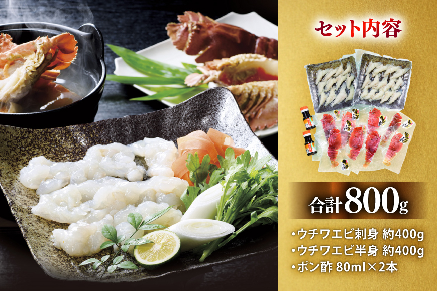うちわえび エビ 海老 刺身 しゃぶしゃぶ 海鮮 ウチワエビ刺身 約400g・ウチワエビ半身 約400g セット 総計800g [ひばり 長崎県 平戸市 hr42bgy420044] 鍋 魚介 海産物 刺し身 冷凍 新鮮 国産 お取り寄せ