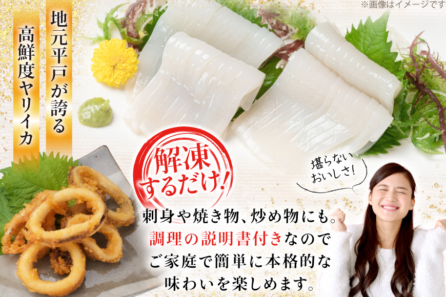 イカ 刺身 極鮮ヤリイカ 約500g [海隆丸 長崎県 平戸市 hr42bgy400118] ヤリイカ 新鮮 海鮮 魚介 瞬間冷凍 冷凍 コリコリ 直送 冷凍 個包装 真空パック
