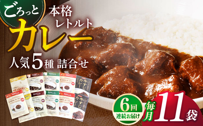 【全6回定期便】【カレー好きのためのアソートセット】カレー工房NVfoodsのカレー5種（11袋）詰め合わせセット [KAB289]