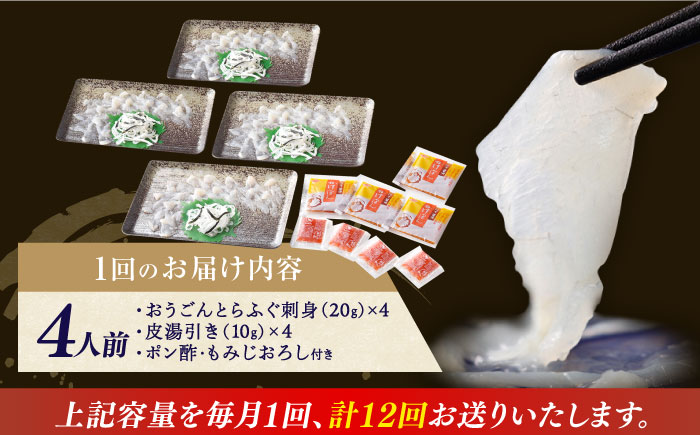 【全12回定期便】【着日指定 可能】活〆おうごんとらふぐ 刺身 セット（4人前） 平戸市 / 松永水産 [KAB281]