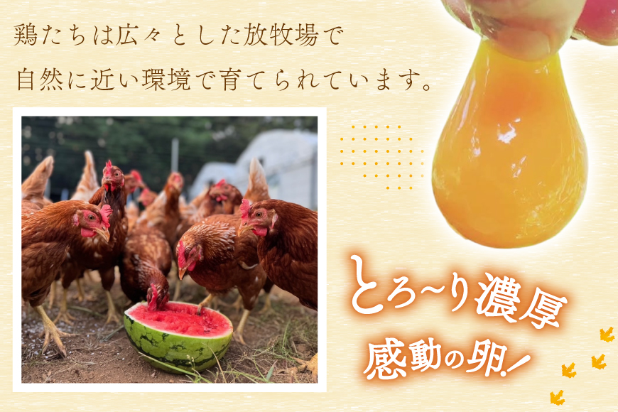 卵 平飼い たまご タマゴ 玉子 新鮮 6回 定期便 平飼い放牧卵「itadaki」4パック 24個／回  総計144個 [ナチュラルエッグラボ 長崎県 平戸市 hr42bgy420061] 6ヶ月 鶏卵 オーガニック 放し飼い お取り寄せ 人気