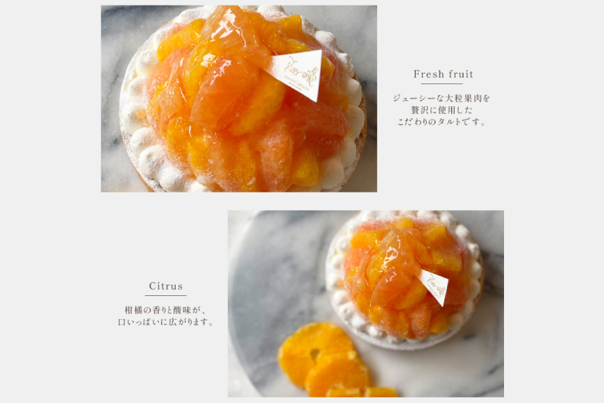 フルーツ タルト オレンジ & ピンク グレープフルーツ チーズタルト 1ホール 12cm [心優-Cotoyu Sweets- 長崎県 平戸市 hr42bjo490195] 柑橘 果物 ケーキ たっぷり スイーツ ご褒美 誕生日