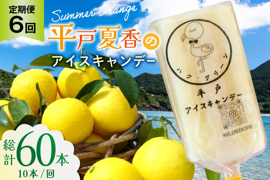 アイスキャンディー ギフト シャーベット オレンジ アイス 6回 定期便 平戸夏香のアイスキャンデー 総計60本  10本/回 [ハレルヤ合同会社 長崎県 平戸市 hr42bgy400142] スイーツ みかん ミカン 蜜柑 お取り寄せ お礼 プレゼント