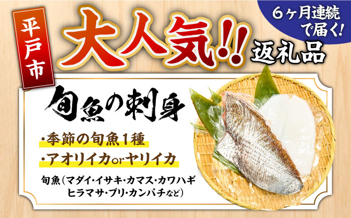 【6回定期便】【漁協直送！】獲れたて旬魚の柵2種セット（刺身1種&イカ1種）（2〜3人前）【舘浦漁業協同組合】 [KAA635]