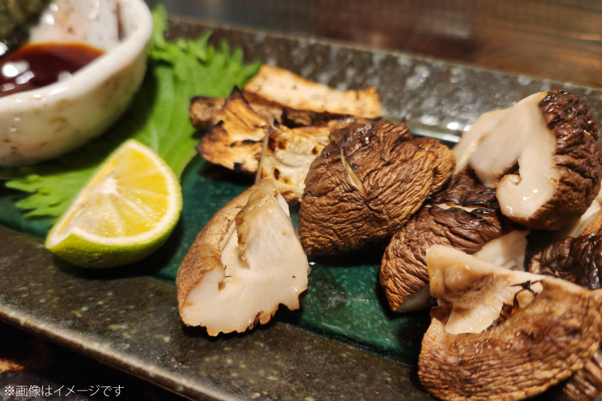 きのこ しいたけ きくらげ 椎茸菌床 生椎茸 生きくらげ セット [きのこ屋 長崎県 平戸市 hr42bgy410092] 有機 有機JAS 有機栽培 有機きのこ 有機しいたけ 栽培キット 栽培セット ギフト セット