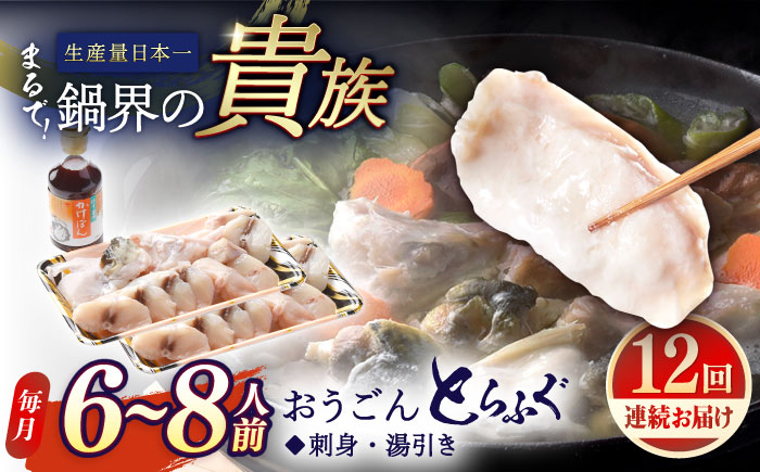 【全12回定期便】【着日指定 可能】活〆おうごんとらふぐ 満腹 鍋セット 平戸市 / 松永水産 [KAB284]