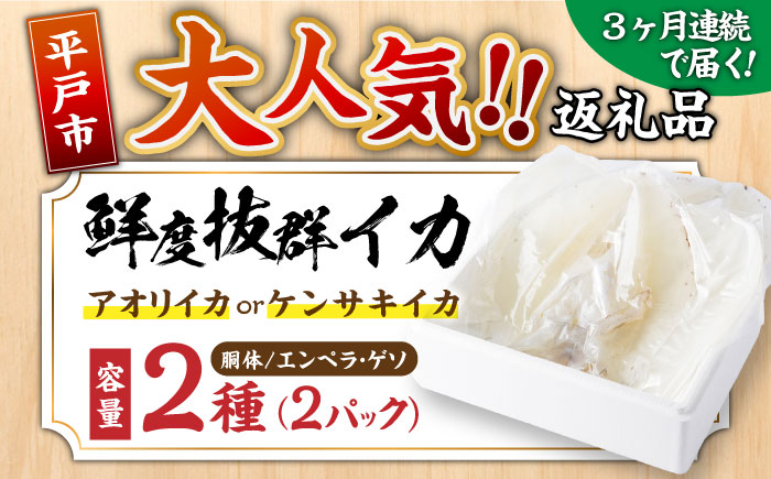 【全3回定期便】イカ2種盛り（胴体＋エンペラ・ゲソ）平戸市/舘浦漁業協同組合 [KAA630]