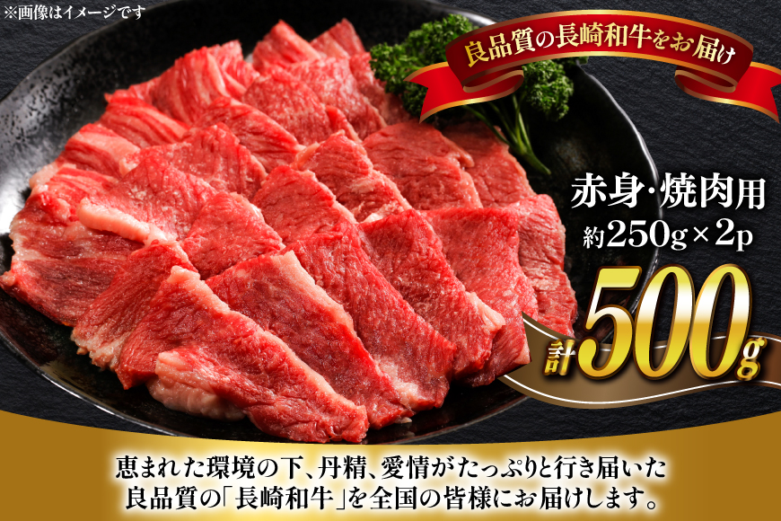 牛肉 長崎和牛 焼肉 赤身 約250g 2パック 計 約500g [萩原食肉産業 長崎県 平戸市 hr42bgy410399] 肉 お肉 和牛 国産 ヘルシー 小分け パック 便利 冷凍 ブランド 平戸牛 国産牛 BBQ バーベキュー 料理 にく うし 牛 A4 A5 ランク 高級